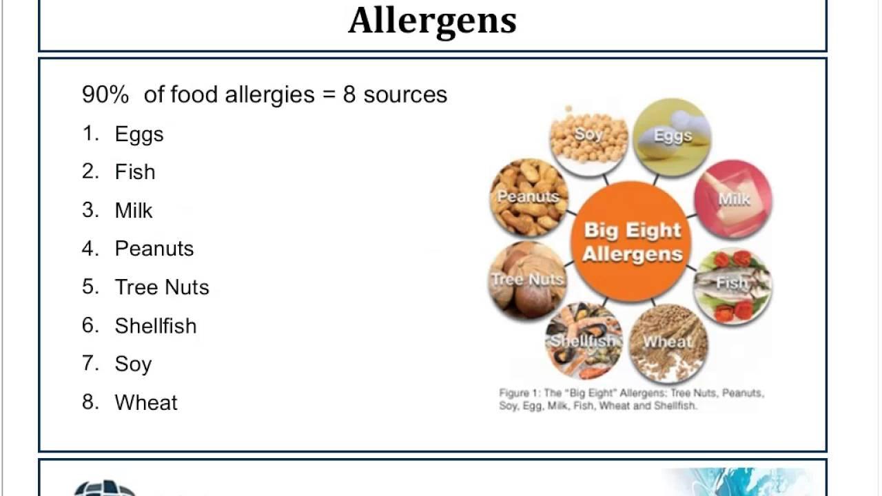 Creating an Ongoing Maintenance Plan for Allergen Control