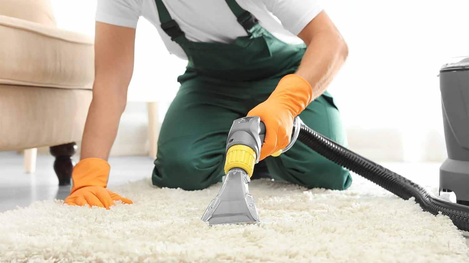 Understanding the Importance of Regular Carpet and Upholstery Cleaning