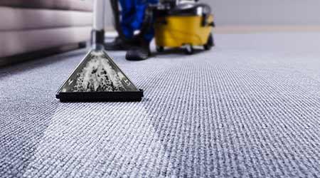 Choosing the Right Products for Carpet Care and Maintenance